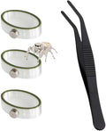 Jumping Spider Enclosure Accessories 3 Pcs Magnetic Feeding Bowl Set with Jumping Spider Feeding Tongs Removable Feeding