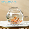Newpol Mini Plastic Aquarium Starter Kits, Fish Tank (0.8Gallon/ 3L)