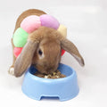 Adjustable Rabbit Protection Cone Collar,Soft Pet Recovery Collar for Rabbit/Chinchilla/Guinea Pigs/Kitten After Surgery