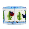 EatingBiting Large Double Compartment Fighting Fish Box Eco Rumble Fish Aquarium Mini Aquarium Plastic Isolation Box Bre