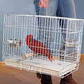 Large Portable Durable Metal Travel or Veterinary Easy Collapsable Parrot Bird Carrier Bite-Proof Carrier Cage Easy Clean Pull Out Tray Stainless Steel Feeder Bowls Natural Wooden Perch