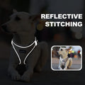 haapaw Dog Harness with Leash Set, No Pull Adjustable Reflective Step-in Puppy Harness with Thickened Padded Vest for Ex