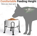 Kitwinney Elevated Dog Bowls, Ceramic Raised Dog Bowl Set with Anti-Slip and Non-Tip Metal Stand, 2 Pack Pet Food and Water Feeding Bowls for Small and Medium Dogs (White,3.6 Cups)