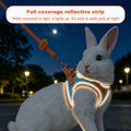 Bunny Harness and Leash Set Double Buckle | Soft Rabbit Harnesses with Carrot | Adjustable Reflective Strips Jacket Esca
