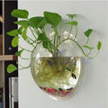 Wall Mounted Plant jar, can Hang Flower vases for wall Decoration, shatterproof Round Acrylic jar Bowl, Suitable for Hom