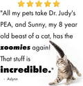 Feline Essentials | Dr. Judy’s Pea (Palmitoylethanolamide) for Cats | Hip & Joint, Comfort & Mobility, Overall Well-Bein