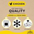 Life Essentials by Cat-Man-Doo | Chicken - 5oz. Bag | Freeze Dried Chicken Cat & Dog Treats | Healthy, Single Ingredient, Training Treats, High Protein