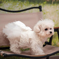 Dog Dress,Pet Wedding Dress Princess Formal Tutu Skirt with Bowknot,Puppy Birthday Party Outfit Apparel Girl for Small D