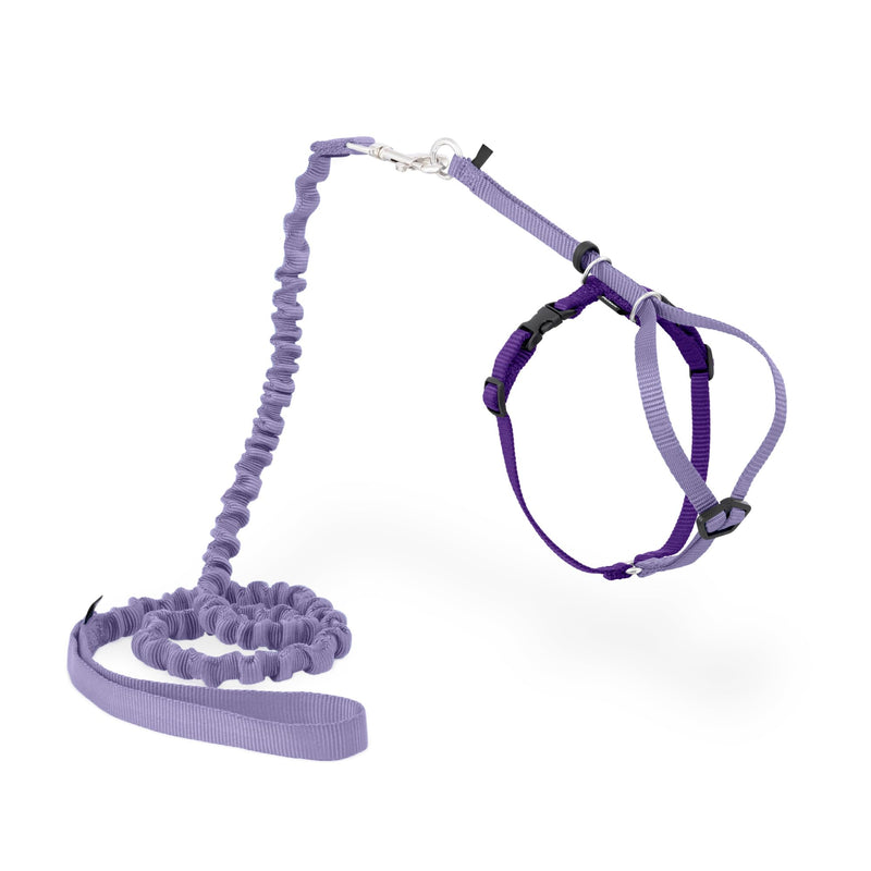 PetSafe Come with Me Kitty Harness and Bungee Leash Adjustable, Lightweight Harness for Cats Medium, Lilac