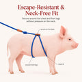 Pig Harness & Leash, Escape Prevention Adjustable Rope, All in One Design, All Life Stages Small to Medium Mini Pigs-5 F