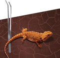 2 Pack Reptile Carpet Desert Reptile Mat & Reversible Substrate, Terrarium Liner Bedding, for Lizard,Chameleon,Gecko,Sna