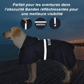 Dog Raincoat Waterproof Hooded, Large Dogs, Navy Blue, 5XL
