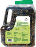 Manna Pro Farmhouse Favorites Beetle Bliss Poultry Treat – Blend of Mealworms and Beetles – All Natural Treat for Chickens, Ducks, Geese, Turkeys, & Guinea Fowl – 45% Protein – 25oz