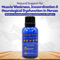 HA4E - Equine Protozoal Myeloencephalitis (EPM) Support - Reduces Weakness, Ataxia & Coordination Loss - Highly Effectiv