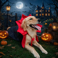 Golden Retriever Halloween Costume, Extra Large Dog Vampire Cape Cloak for Great Dane German Shepherd, Big Dog Halloween