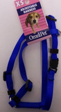 X-Small/Blue