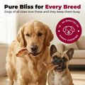 Best Pet Supplies GigaBite Whole Pig Ears for Dogs - All-Natural Slow-Roasted Chews that Clean Teeth and Satisfy Aggressive Chewers - 22 Pack for Large Dogs