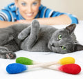 Glaciart One XXL Swabs Cat Toys with Catnip - 2 Pk | Durable for Chew, Cute Cat Toys Interactive Kitty for Boredom, Exer