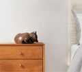 Kriss Art Pet Urns,Sleeping Resin Cremation Cat Urn, Cat Urns for Ashes, Small Animal Urn （Black Walnut）