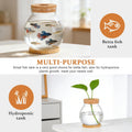 POPETPOP Desktop Glass Fish Bowl - Round Small Fish Tank