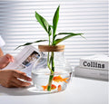 Small Fish Bowl, Cute Betta Tank, High Clear Fish Glass Bowl, Desktop Mini Aquarium Vases for Betta Fish and Hydroponic 