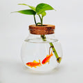 Small Fish Bowl, Cute Betta Tank, High Clear Fish Glass Bowl, Desktop Mini Aquarium Vases for Betta Fish and Hydroponic 