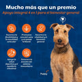 NaturVet Aller-911 Advanced Allergy Aid for Dogs, Cats – Antioxidant-Rich Pet Supplement with Omegas, DHA, EPA – Helps Support Dog Immune System, Cat Respiratory Health, Skin Moisture 180 Soft Chews