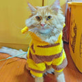 ANIAC Fleece Dog Hoodies with D-Ring Autumn Winter Puppy Clothes for Small Dogs Bumblebee Cat Apparel Cold Weather Coat 