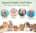 Sukh 240g Rabbit Chew Sticks - Natural Sweet Bamboo Chew for Small Animals