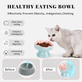 S&Q's CERAMICS Raised Slow Feeder Cat Bowl, Ceramic Elevated and Titled Glass Food Bowl Small Dogs Slow Feeder, Flower S