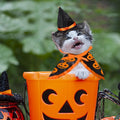 Halloween Cat Costume Cloak Witch Hat Pet Accessories Halloween Adjustable Pumpkin Pet Costumes Clothes Set, Halloween p