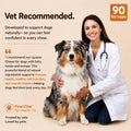 Lipoma Treatment for Dogs – Lumps & Bumps Support, Helps Reduce Fatty Tumors, Turkey Tail Mushroom Chews for Immune Heal