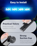 Pawfly 5 W Aquarium LED Light 8 Inch 24/7 Fish Tank Light with Full Spectrum Brilliant White Blue Red Green Lights Multi