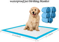 Whelping Kit for Puppies Birth - Reusable Birthing with 77Piece,Birthing Essentials with Emergency Whelping Supplies,Kit