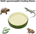 2 Pack Snail Water and Food Bowl，atural Design Food Bowl for Pet Snails, Garden Snails Pet Land Snail Terrarium Supplies