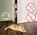 Elilier Cat Door Latch Holder, 8 Adjustable Sizes Flexible Cat Door Stopper