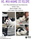 Cat Surgery Recovery Suit Female Cat Onesie for Cats After Surgery Spay Surgical Abdominal Wound Skin Diseases E-Collar Alternative Wear (Black, Medium)
