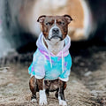 Spark Paws Dog Hoodie - Buttery-Soft Sweater Sweatshirt, Clothes for Puppy