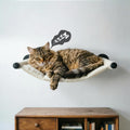 XIFOWE Cat Hammock Wall Mounted, 22.44 x 13.78 inch Wall Mounted Cat Shelves, Metal Brackets Beds for Sleeping, Playing, Climbing & Resting Stabilized Wall Furniture (Soft & Warm Fabric)