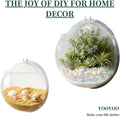 Creative Acrylic Hanging Wall Mounted Fish Tank, Hanging Bowl for Water Plants, Wall Fish Bubble Tank, Hydroponic Air Pl