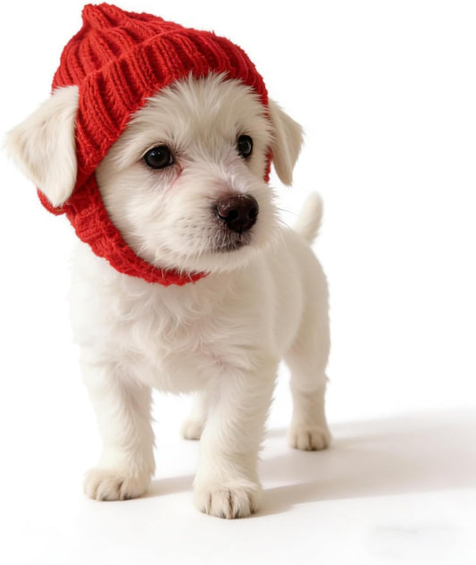 Warm Dog Knitted Hat with Ear Hole, Winter Pet Cap, Fashion Pet Hats,Red,S