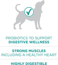 Purina ONE Plus Digestive Health Dry Dog Food, Chicken, 31.1 lb Bag