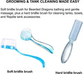 Bearded Dragon Tank Accessories Kit – 10pcs Reptile Water Food Bowl, Feeding Tongs with Rubber Tip, Grooming & Cleaning 