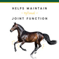 Manna Pro Corta-Flx Equine Joint Supplement Pellets, 12 lb Bag