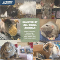 Treats, 100% All Natural Forage Pops for Rabbit Hamster Guinea Pig Chinchilla Pet Rat Mice Gerbil Bird, Healthy Enrichme