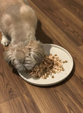 Arespark Pet Silicone Food Mat, 8in x 8in Nonslip Waterproof Feeding Bowl Mat with Raised Edges for Food and Water Preve