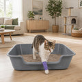 Ying Tutu 1 Pack of Extra Large Cat Litter Box (ABS Material), Low Entry Senior Litter Pen for Geriatric Kitty Big Cats, Jumbo Pet Safe Litter Boxes Tray for Indoor Pets Potty (Gray, 24" L x 20" W)