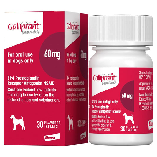 Galliprant Osteoarthritis Pain & Inflammation Control for Dogs | 60mg | 30 Flavored Tablets