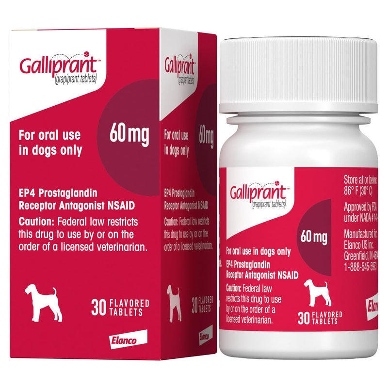 Galliprant Osteoarthritis Pain & Inflammation Control for Dogs | 60mg | 30 Flavored Tablets