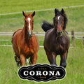 Corona Horse Ointment 7oz Multi-Purpose Relief with Lanolin for Horses
